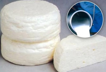 La leche que se queda en el mercado informal no cumple las mismas condiciones de inocuidad en comparación con aquella que se vende en el comercio formal y con registro Invima. Foto: www.infocarne.com. leche con residuos de antibióticos