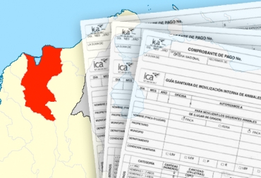 Ganaderos de Ariguaní y otros municipios llevan más de una semana sin poder movilizar sus ganados por culpa del ICA. Foto: CONtexto Instituto Colombiano Agropecuario, ICA, Guías de Movilización, Ariguani, Magdalena, Comité de Ganaderos de Ariguaní, ICA no expide guías movilización Ariguaní, ganaderos afectados por el ICA, movilización de ganados en Magdalena, problemas del ICA en Magdalena, CONtexto ganadero, ganaderos colombia
