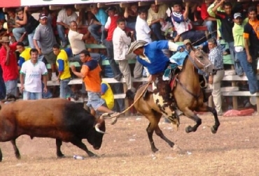 Las corralejas presentan los toros más destacados de las ganaderías de la región. Foto: taringa.net Fiestas de corralejas en Planeta Rica, Planeta Rica, córdoba, Virgen de La Candelaria, fiestas patronales de Planeta Rica, patrona de Planeta Rica, fiestas en Corraleja 2016 de Planeta Rica, ganadería El Oriente, ganaderías La Juliana y El Recreo, ganadería El Diamante, ganadería San Fermín, ganadería La Estación, ganadería Rancho GP y Manchuria, premiación de las fiestas patronales de Planeta Rica, corralejas en colombia, corralejas en Córdoba, CONtexto ganadero, ganaderos colombia