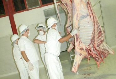 Actualmente se presume que el sacrificio ilegal está por el orden de las 100 cabezas diarias, se cree que esta cifra aumentaría con el cierre de la planta. Foto: prensalibrecasanare.com Paro provoca cierre de la planta de Yopal, cierre de la planta de Yopal complica el sacrificio, sacrificio ilegal y abigeato se disparan por cierre de planta de Yopal, preocupación del gremio ganadero por cuenta del cierre de la planta de Yopal