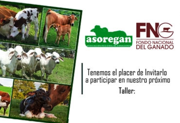 Hoy viernes 4 de marzo se llevará a cabo un taller para socializar los resultados del programa de planeación de partos en Puerto Boyacá. Foto: Asoregan Programación de partos, Índice de Humedad y Temperatura, intervalo entre partos, días abiertos, Sistema de planeación de partos, Asociación Regional de Ganaderos de Puerto Boyacá, Asoregan, Puerto Boyacá, Magdalena Medio, CONtexto ganadero, ganaderos Colombia