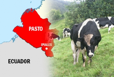 Fincas con hectáreas tanto en Colombia como en Ecuador, facilitan el contrabando de ganado por la frontera. Foto: CONtexto Ganadero. Falta de control promueve el contrabando, contrabando de ganado desde Nariño a Ecuador, precio del dólar promueve el contrabando hacia Ecuador