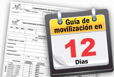La queja sobre la expedición de guías de movilización animal contra el ICA se dio en Magdalena. Foto: CONtexto ganadero Instituto Colombiano Agropecuario, ICA, Guías de Movilización, Ariguani, Magdalena, Comité de Ganaderos de Ariguaní, ICA no expide guías movilización Ariguaní, ganaderos afectados por el ICA, movilización de ganados en Magdalena, problemas del ICA en Magdalena, Vacunación de búfalos, ICA no expide guías búfalos, CONtexto ganadero, ganaderos colombia