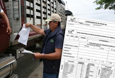 Las guías de movilización animal se expiden para transportar ganado en todo el territorio colombiano. Foto: CONtexto Ganadero. expedición guías de movilización