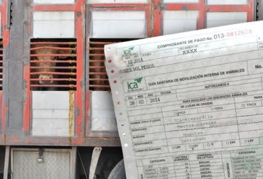 Hay regiones en Colombia donde el ICA tarda hasta 12 días en expedir guías de movilización animal. Foto: ICA / salesganasal.com. guías de movilización animal