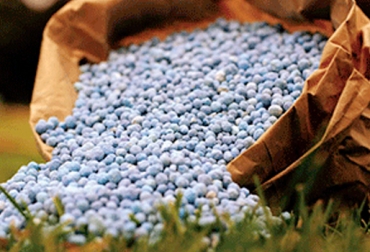 Se llevarán a cabo capacitaciones en los predios para que los ganaderos aprendan a mitigar los efectos de la intoxicación. Foto: cinafa.es. Cundinamarca, Boyacá, Valle de Ubaté y Chinquinquirá, Fúquene, Lenguazaque, Simijaca, Susa, Ubaté, Guachetá, Chinquinquirá, Raquirá, Saboyá, San Miguel de Sema, Intoxicación con nitratos, Prevención y tratamiento intoxicación nitratos, Azul de metileno, CONtexto ganadero, ganaderos colombia