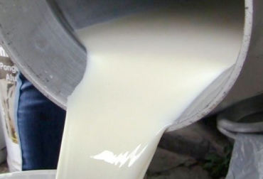 En el sector ganadero de Nariño hay preocupación por cuenta del contrabando de leche que esta ingresando desde Ecuador. Foto: www.todoelcampo.com.uy. leche contrabando ecuador colombia