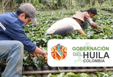 Pequeños y medianos productores accederán a herramientas para desarrollar sus agronegocios. Foto: www.pitalito / huila.gov.co. programa en beneficio de los empresarios del campo, gobernación del Huila le apuesta a los empresarios del campo