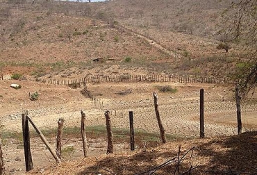 En el país ya han muerto más de 40 mil semovientes por cuenta de uno de los veranos más intensos de los que se tenga memoria. Foto: CONtexto ganadero. veran