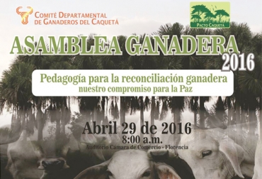Ganaderos de Caquetá se reúnen hoy para conocer los adelantos en materia de ganadería sostenible. Foto: Comité de ganaderos de Caquetá. asamblea general, comité de ganaderos de Caquetá, ganaderos de Caquetá, Pacto Caquetá, ganadería sostenible, Contexto Ganadero