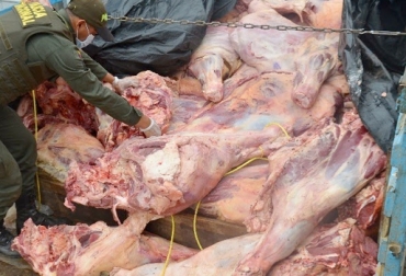La informalidad en el mercado de la carne no solo afecta la economía ganadera, también la salud pública. Foto: noticucuta3.blogspot.com. Contrabando de carne desde Venezuela, consumo de carne de contrabando en Cúcuta, sacrificio legal en Cúcuta no reporta incremento, sector ganadero preocupado por el contrabando desde Venezuela