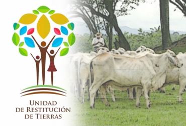 Programa de Restitución de Tierras está afectando a ganaderos del sur del Cesar y el Magdalena medio. Foto: www.restituciondetierras.gov.co - perulactea.com programa de restitución de tierras, ganaderos del sur del Cesar y Magdalena medio afectados por el programa de restitución de tierras