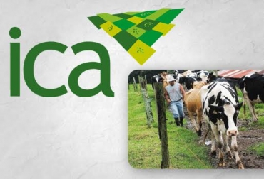 La cooperativa afectada perdió más de $17 millones. Foto: http://wvw.nacion.com skat.ihmc.us. ICA colombia certificaciones