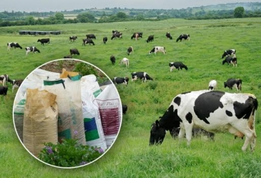 Los precios de los insumos agropecuarios siguen al alza. Foto: gestionsolidaria.com / www.bancodeimagenesgratis.com. precios de insumos agropecuarios Colombia