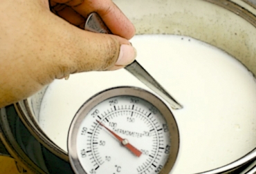 Varios expertos señalaron que hace falta más voluntad política y recursos para que la leche sea pasteurizada en Boyacá. Foto: es.wikihow.com. Industria de alimentos lácteos Liroyaz LTDA, Secretaría de Fomento Agropecuario de Boyacá, Pasteurización en Boyacá, Construcción de una pasteurizadora en Boyacá apoyo a las asociaciones productoras de leche Boyacá, transformación de leche en Boyacá, pasteurización, mejoramiento bienestar de productores de leche Boyacá, productores de leche, CONtexto ganadero, ganaderos colombia