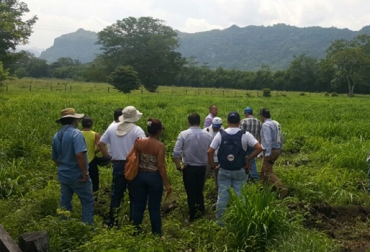 El convenio que se desarrolló en 4 municipios de Tolima busca que los ganaderos apliquen los sistemas silvopastoriles en sus predios. Foto: Cortolima. Tolima, Mariquita, Lérida, Honda, Piedras, sistemas silvopastoriles intensivos, producción agropecuaria, gerencia de fincas, Ganadería Colombiana Sostenible, GCS, Comité de ganaderos del Tolima, Fedegán, Corporación Autónoma Regional de Tolima, Cortolima, Convenio Comité ganaderos Cortolima, CONtexto ganadero, ganaderos colombia