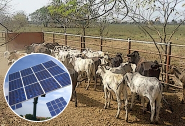 Reses, carneros, implementos de finca y hasta paneles solares se han robado de predios ganaderos en La Guajira. Foto: CONtexto ganadero La Guajira, Riohacha, Fonseca, Barranca, abigeato Guajira, aumento de abigeato, Hurto de ganado, autoridades locales, Cooperativa de Agricultores y Ganaderos de La Guajira, Coojira, Dirección de Carabineros, CONtexto ganadero, ganaderos colombia