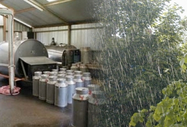 Los productores de leche temen que el precio del litro de leche se reduzca por la llegada de las lluvias. Foto: www.arjona-bolivar.gov.co - cb24.tv Producción de leche en Colombia, precio del litro de la leche, Comité Departamental de Ganaderos del Magdalena, Codegama, Comité de Ganaderos del Área 5, Cooperativa de Ganaderos y Productores de Leche del Oriente Antioqueño, Unilac, inicio de la temporada invernal 2016, llegada de las lluvias 2016, importaciones de leche, Tratados de Libre Comercio, CONtexto ganadero, ganaderos colombia