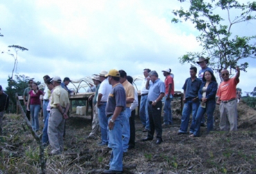 Debido a la falta de suscripción de contratos por parte de Fiduagraria, programa de Fortalecimiento a la asociatividad del FNG está estancado. Foto: www.tpagro.com fortalecimiento de la asociatividad, ganadería en colombia, ganaderos de colombia, fedegán administrador del fng, Fiduagraria administrador del FNG