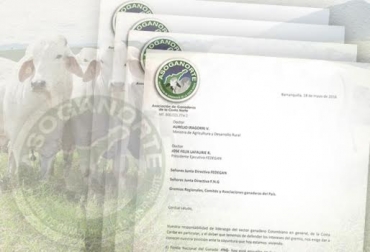 De Silvestri reitera en su misiva que siempre se deben buscar espacios para el diálogo racional. Foto: CONtexto ganadero. asoganorte fedegan, asoganorte fedegan lafaurie, asoganorte fedegan de silvestri, asoganorte fedegan minagricultura, asoganorte fedegan noticias, contexto ganadero
