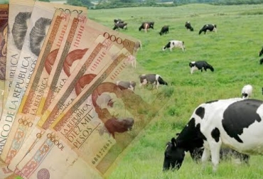 El evento se llevó a cabo en el marco de la junta directiva del Comité de Ganaderos del Meta. Foto: www.alimentacion.enfasis.com / CONtexto ganadero. educación financiera en el sector ganadero