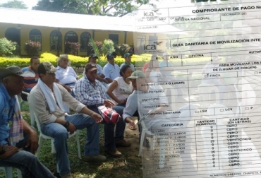 Productores de Aguachica se quejaron por el mal servicio del ICA en guías de movilización y trazabilidad. Foto: vparnoticias.com - www.ica.gov.co Instituto Colombiano Agropecuario, ICA, Guías de Movilización, Aguachica, Pailitas, Cesar, Sur de Bolívar, Gremio de Empresarios Agropecuarios, Grea, ICA no expide guías movilización sur del Cesar y sur de Bolívar, ganaderos afectados por el ICA, movilización de ganados en Cesar, problemas del ICA en Cesar y Bolívar, CONtexto ganadero, ganaderos colombia