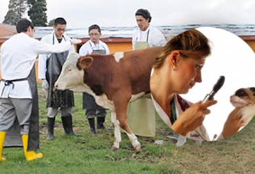 Este 10 de mayo se celebra el Día Nacional del Médico Veterinario. Foto: www.villacanhotel.com / CONtexto Ganadero. medicina veterinaria Colombia