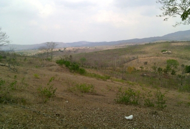 La región de los Montes de María parece abandonada a su suerte, según lo manifestaron varios productores. Foto: @JuacoAcosta95. Montes de María, San Juan Nepomuceno, San Jacinto de Bolívar, municipio de Córdoba, Bolívar, Sucre, Ministerio de Agricultura, ayudas para los pequeños ganaderos, afectaciones Bolívar fenómeno de El Niño, falta de agua y alimento en Montes de María, ayudas toneladas heno gobernación Bolívar 2016, Gobierno no atiende solicitud de ganaderos de Montes de María, CONtexto ganadero, ganaderos Colombia