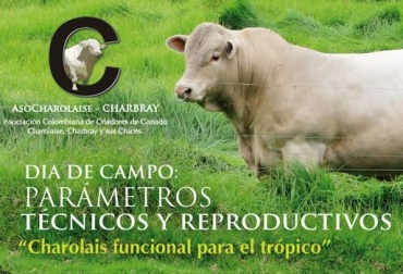 Asocharolais busca generar espacios de capacitación, formación y conocimiento técnico. Foto: Cortesía. excelencia en producción cárnica