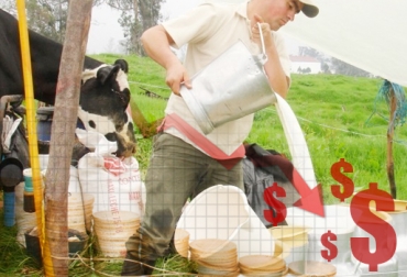 Los productores advirtieron una disminución en el pago que hacen por cada litro de leche. Foto: diariodelsur.com.co. Producción de leche en Colombia, precio del litro de la leche, Comité de Ganaderos del Área 5, inicio de la temporada invernal 2016, llegada de las lluvias 2016, importaciones de leche, Tratados de Libre Comercio, Grupo Gloria Colombia, Algarra, CONtexto ganadero, ganaderos Colombia