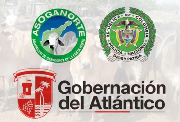 El trabajo mancomunado entre las 3 entidades permitió contrarrestar el robo de ganado en el departamento. Foto: CONtexto ganadero. comité seguimiento especial a casos de abigeato