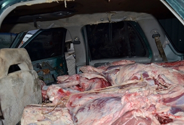 La informalidad en el mercado de la carne no solo afecta la economía ganadera, también la salud pública. Foto: Polfa Cúcuta. contrabando de carne desde Venezuela, Contrabando de animales en pie desde Venezuela, falta de control de las autoridades, consumo de carne de contrabando en cúcuta, fluctuaciones del precio por cabeza, sector ganadero de Norte de Santander, preocupación por el contrabando desde Venezuela, CONtexto ganadero.
