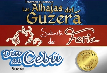 Las Alhajas del Guzerá, la subasta de la Feria Nacional de la Ganadería y el Día del Cebú son los eventos especiales de Subastar S.A. Foto: www.subastar.com.co. Córdoba, Montería, Sucre, Sampués, Subasta especial en Montería, Las Alhajas del Guzerá, 56 Feria Nacional de la Ganadería, ganado cebú, guzerá, guzolando, Brahman, Día del Cebú, CONtexto ganadero, ganaderos colombia