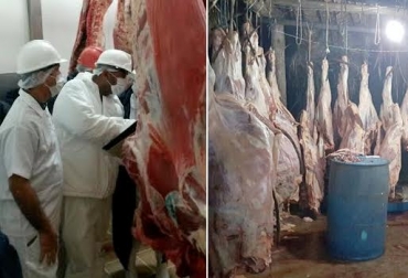 Mientras el panorama de los frigoríficos de la ciudad es incierto, el sacrificio clandestino está desbordado. Foto: costanoticias.com / CONtexto ganadero. Planta de sacrificio en Barrancabermeja
