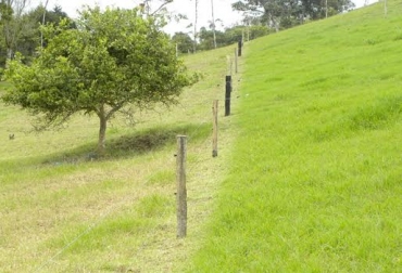 La actividad tendrá lugar este viernes 24 de junio en el Hotel Don Gregorio, en Cartago. Foto: ecologiasocebu.blogspot.com. leyes de Voisin ganadería, leyes de Voisin ganadería colombia