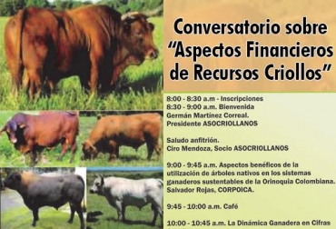 En la actividad se llevará a cabo otra charla sobre el uso de árboles nativos y al final habrá una exhibición de bovinos criollos. Foto: Cortesía. Ganado criollo colombiano
