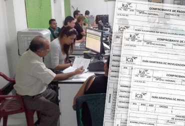 Pasó el primer semestre del año y los ganaderos aún manifiestan inconformidad por las demoras en el trámite de guías de movilización. Foto: www.ica.gov.co Instituto Colombiano Agropecuario, ICA, Guías de Movilización, ICA no expide guías movilización, Comité de Ganaderos de Ariguaní, Coganar, Comité de Ganaderos de Arauca, Cooperativa de Mercadeo Cárnico del Sur, Comercasur, ganaderos afectados por el ICA, movilización de ganados en Colombia, problemas del ICA en regiones de Colombia, CONtexto ganadero, ganaderos colombia