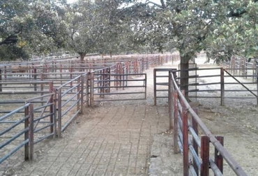 Imagen de corrales vacíos en Antioquia, producto del paro camionero. Foto: CONtexto ganadero. paro camionero, paro camionero Colombia 2016, movilización de Ganado, Transporte de leche, compra de insumos, bloqueo total o parcial de las vías, encarecimiento de los fletes, Bogotá, Antioquia, Nariño, Eje Cafetero, Comité de Ganaderos del Centro, Cooperativa de Ganaderos y Agricultores de Risaralda, Codegar, CONtexto ganadero, ganaderos colombia