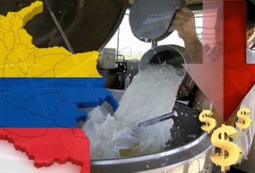 En diferentes regiones del país, productores lecheros reportan que la industria está bajando el pago por litro de leche. Foto: www.eldestapeweb.com Producción de leche en Colombia, precio del litro de la leche, Boyacá, Nariño, Chiquinquirá, cundinamarca, Simijaca, paro camionero, importaciones de leche, costos de producción láctea, Grupo Gloria Colombia, Algarra, Parmalat, Alival, CONtexto ganadero, ganaderos colombia