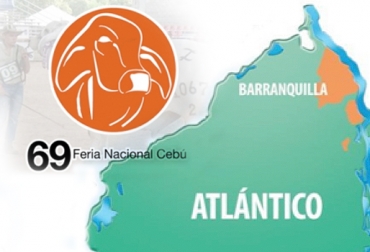 La Feria Nacional Cebú, contará con la participación en pista de más de 1.000 ejemplares. Foto: CONtexto ganadero. feria nacional asocebu, feria nacional asocebu noticias, feria nacional asocebu cifras, feria nacional asocebu agenda, feria nacional asocebú programación, CONtexto ganadero