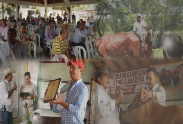 Los ganaderos del país se unirán para celebrar su día este viernes 30 de septiembre. Foto: CONtexto ganadero. Día del Ganadero Fedegán, Día del ganadero Colombia 2016, Día del Ganadero Fedegán Colombia 2016, actividades Día del Ganadero Colombia 2016, Federación Colombiana de Ganaderos, Día del Ganadero 2016 septiembre 30, Día del Ganadero festividades Colombia 2016, CONtexto ganadero, ganaderos colombia