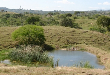 Pequeños ganaderos de Piojó que han sido afectados por la violencia solicitan ayudas para excavar pozos profundos. Foto: http://www.panoramio.com - Ed. Me. Mo. región Caribe, atlántico, Piojó, planes para mitigar efectos de cambio climático en el Caribe 2016, afectaciones Atlántico fenómeno de El Niño, pozos profundos, Incoder, muerte de reses en Piojó 2014 2015, muerte de bovinos en Piojó 2014 2015, Ministerio de Agricultura, Gobernación de Atlántico, Asociación de Productores de La Pradera, créditos agropecuarios, ganaderos se quejan del Banco Agrario, CONtexto ganadero, ganaderos colombia