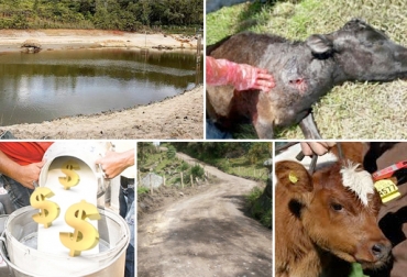 Escasez de agua, ataques de un animal extraño y reducción del precio de leche son algunas de las problemáticas de los ganaderos en Cundinamarca. Foto: maciasabogados.com - www.junin-cundinamarca.gov.co - www.corporaciondelacarne.cl - CONtexto ganadero. Ganaderos Cundinamarca, problemáticas ganaderos Cundinamarca, ganadería Cundinamarca problemas, falta de agua, ineficiencia de la CAR, ataques del misterioso animal, reducción en precio de leche y falta de atención del Estado, trazabilidad animal, CONtexto ganadero, ganaderos Colombia