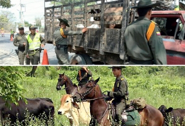 Ganaderos proponen acciones que podrían contribuir a la reducción del robo de ganado. Foto: lacuartavia.com. abigeato en Colombia, robo de animales en Colombia, propuestas para reducir el abigeato, sector ganadero, sector ganadero afectado por abigeato, CONtexto ganadero.