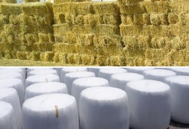 Con estos insumos, los productores podrán mitigar las complicaciones que genere el clima. Foto: CONtexto ganadero. Silos, henos, henolaje, silo de maíz, silo para el ganado