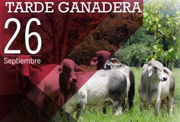 Este lunes 26 de septiembre, los ganaderos de Antioquia aprenderán a manejar los costos de su finca. Foto: Coregán. Evaluación costos empresa ganadera, rentabilidad empresa ganadera, Puerto Berrio, Antioquia, Comité Regional de Ganaderos de Puerto Berrio, Coregan, Costos Empresa Ganadera, empresa ganadera, Ganaderos del Magdalena Medio, ganaderos de Antioquia, mirar la finca como empresa ganadera, CONtexto ganadero, ganaderos colombia