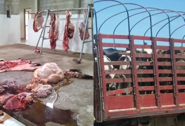 La situación ha empeorado desde que se cerró el matadero del municipio en el mes de septiembre. Foto: @villanueva24h / CONtexto ganadero. san juan del cesar, san juan del cesar guajira, planta de sacrificio de san juan del cesar, la carolina san juan del cesar, ganadería de la guajira, ganadería san juan del cesar, sacrificio clandestino, abigeato, cierre de la carolina, cierre matadero de san juan del cesar, contexto ganadero, ganadería colombia