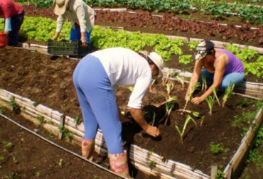 Asociatividad, relevo generacional, educación y tecnificación son factores que determinan el éxito en un emprendimiento rural. Foto: proyecto-escuela-rural-marinilla.webnode.com.co. factores de éxito, emprendimientos rurales, asociatividad en el campo, relevo generacional en el campo, educación en el campo, tecnificación en el campo, comercialización en el campo, CONtexto ganadero