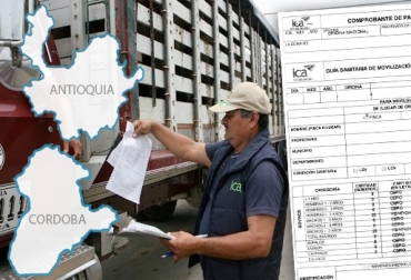 Productores en Antioquia y Córdoba se mostraron inconformes con la gestión del ICA en el trámite de guías. Foto: ica.gov.co / agronews.co. ganaderos afectados por el ICA, movilización de ganados en Colombia, problemas del ICA en regiones de Colombia, Instituto Colombiano Agropecuario, ICA, Guías de Movilización, ICA no expide guías movilización, tercerización de guías y trazabilidad, ICA no muestra avances, inconformismo con labor del ICA, quejas de los ganaderos, Contrabando de ganado, problemas para expedir guías, falta de personal del ICA, pocos avances de guías de movilización, CONtexto ganadero, ganaderos Colombia