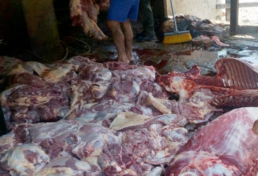 Se presume que carne de caballo se estaría camuflando entre la carne de res que se consume en el área metropolitana de Bucaramanga. Foto: laopinion.com.co sacrificio ilegal de equinos en Santander, venta de carne de equino en Santander, venta de carne de caballo camuflada como res, Ganaderos de Santander, Fedegasán, CONtexto ganadero